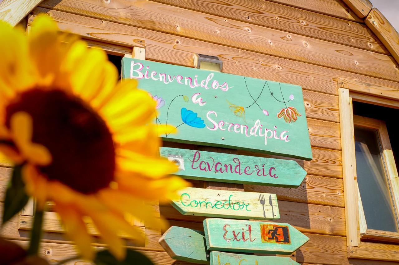 Laurisilva Love Spa Sauna Y Piscina Buzanada Esterno foto